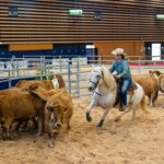 2022-10 - Equita Lyon - Tri de bétail - 055